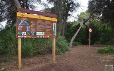 Itinerario de los Sentidos en la Albufera de Valencia