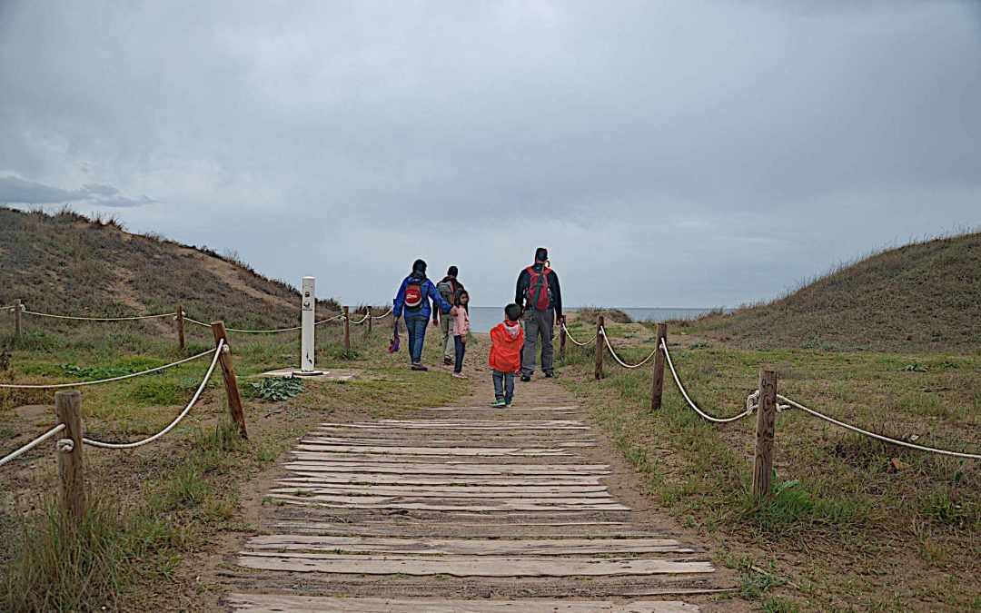 Senderismo con niños por la Albufera de Valencia