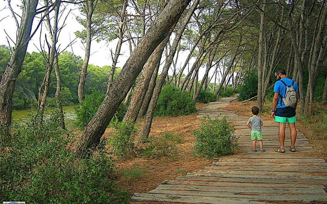 Rutas de senderismo por la Albufera de Valencia