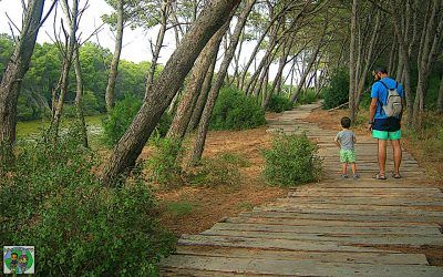 Rutas de senderismo por la Albufera de Valencia