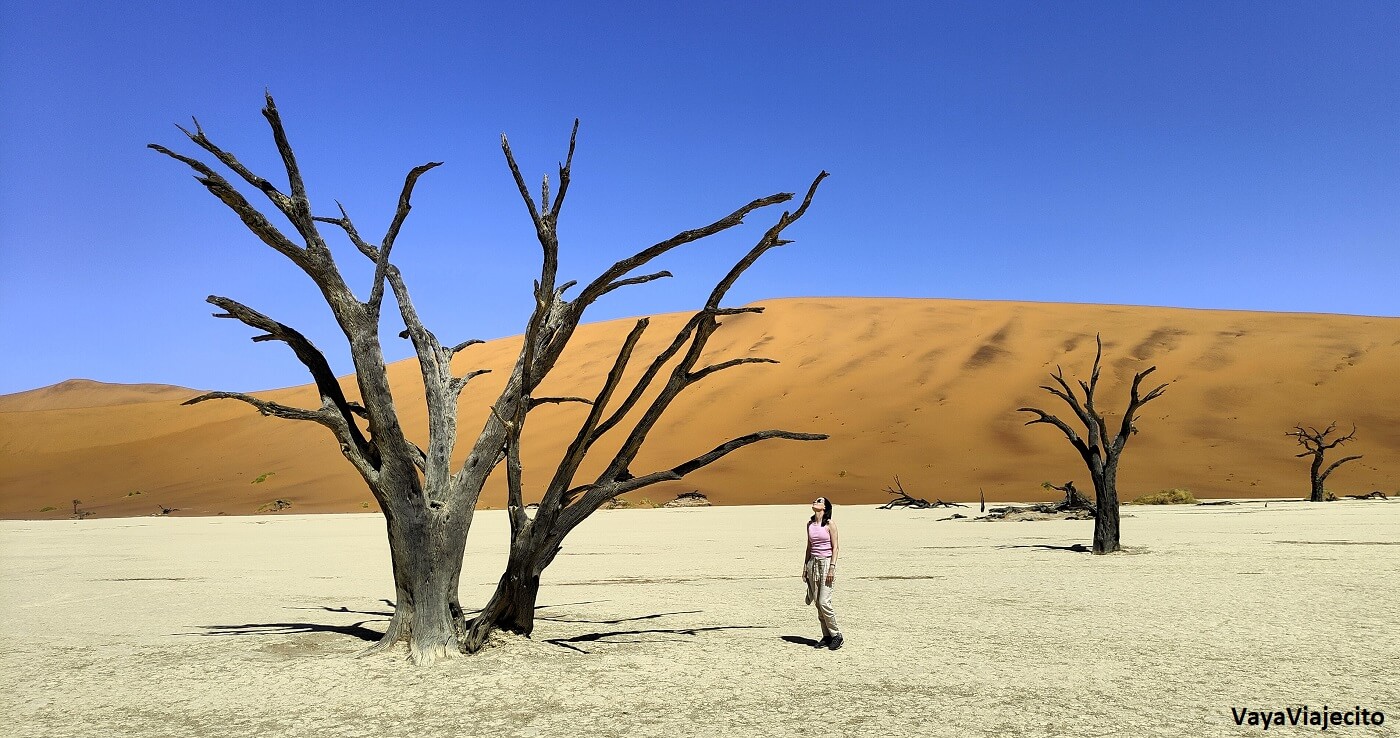 Imprescindibles de Namibia: Todo para tu Viaje (Itinerario y Mapa)