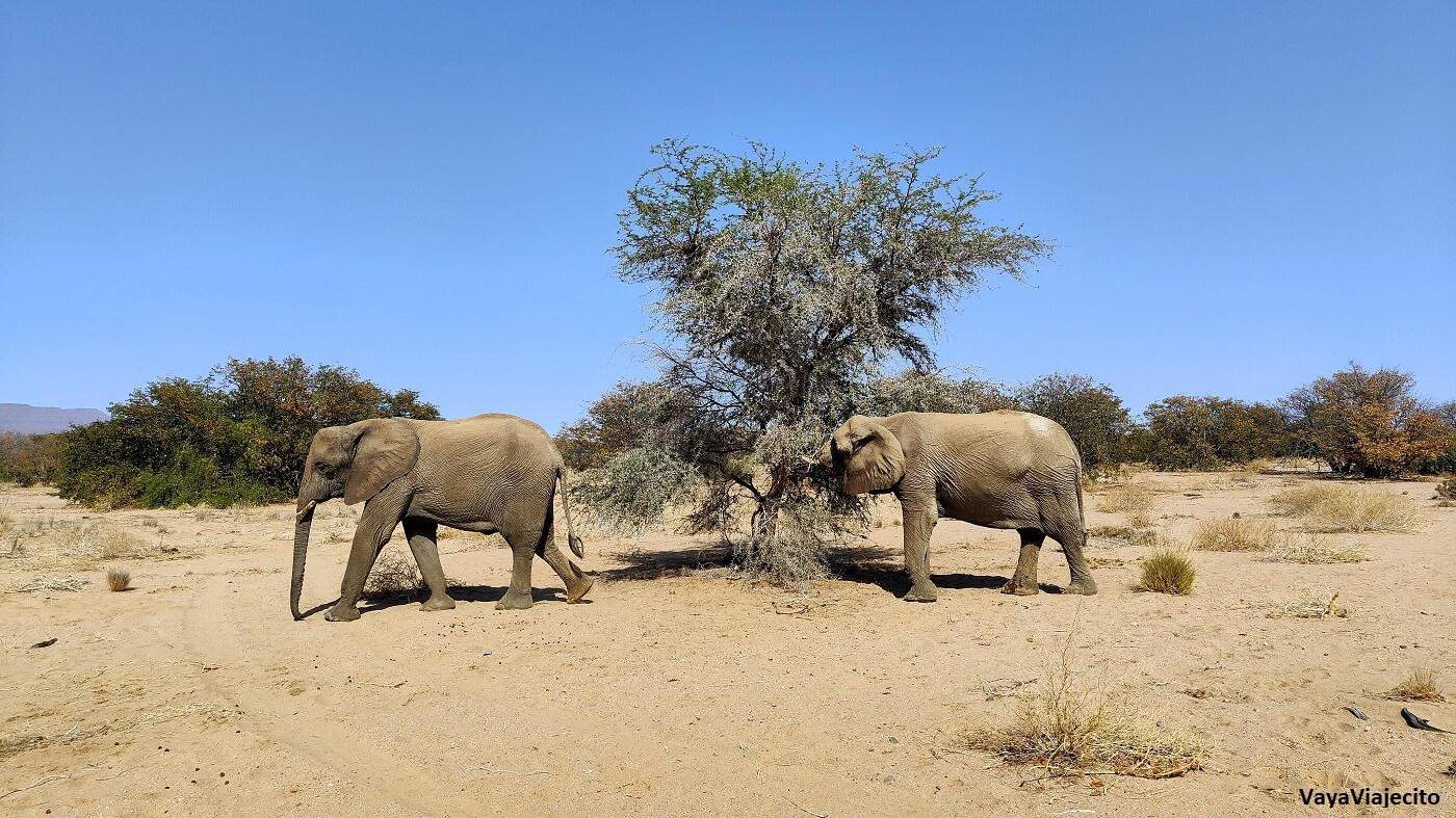 Imprescindibles de Namibia: Todo para tu Viaje (Itinerario y Mapa)