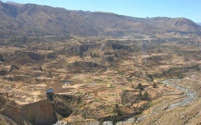 27/07 El gran cañon del Colca!!!