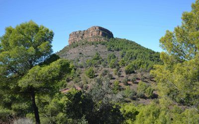 Ruta Senderismo de La Mola de Segart – el Mirador de la Calderona