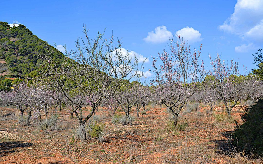 Bajo la mirada de la torre – Ruta Satarenya