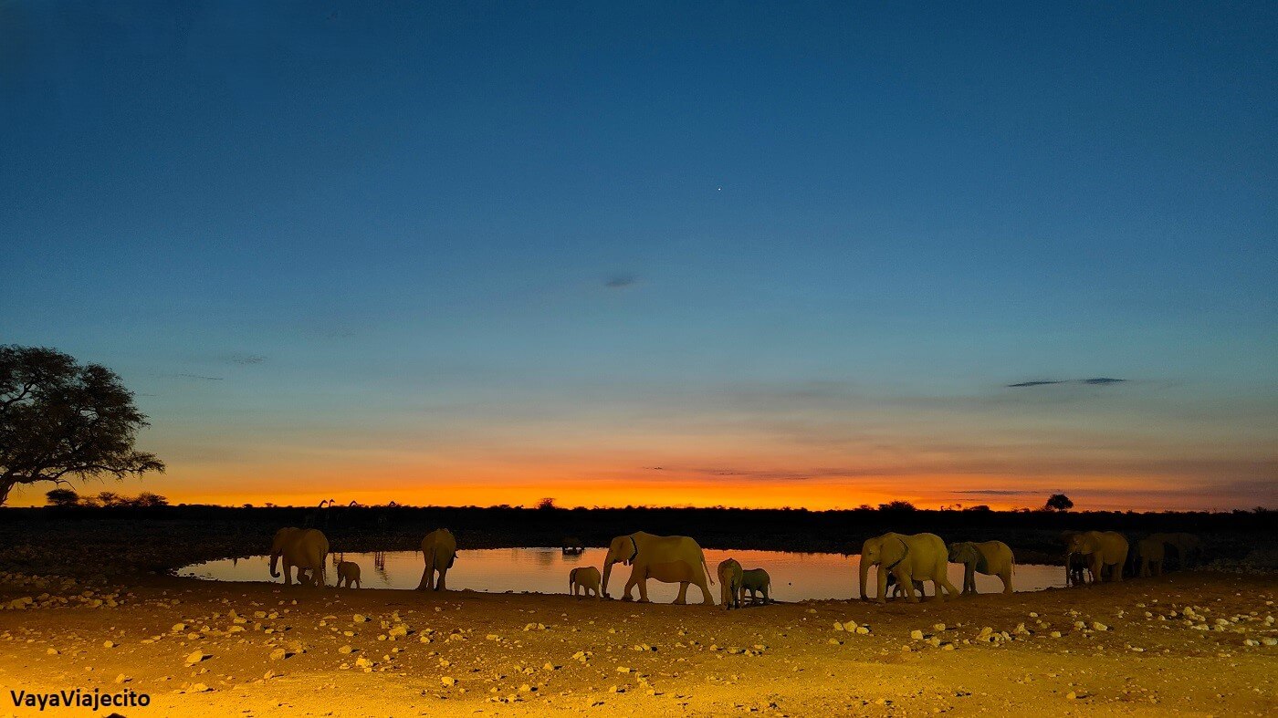 Imprescindibles de Namibia: Todo para tu Viaje (Itinerario y Mapa)