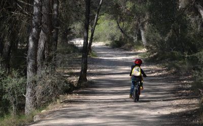 5 Bonitos Paseos por la Naturaleza cerca de Valencia