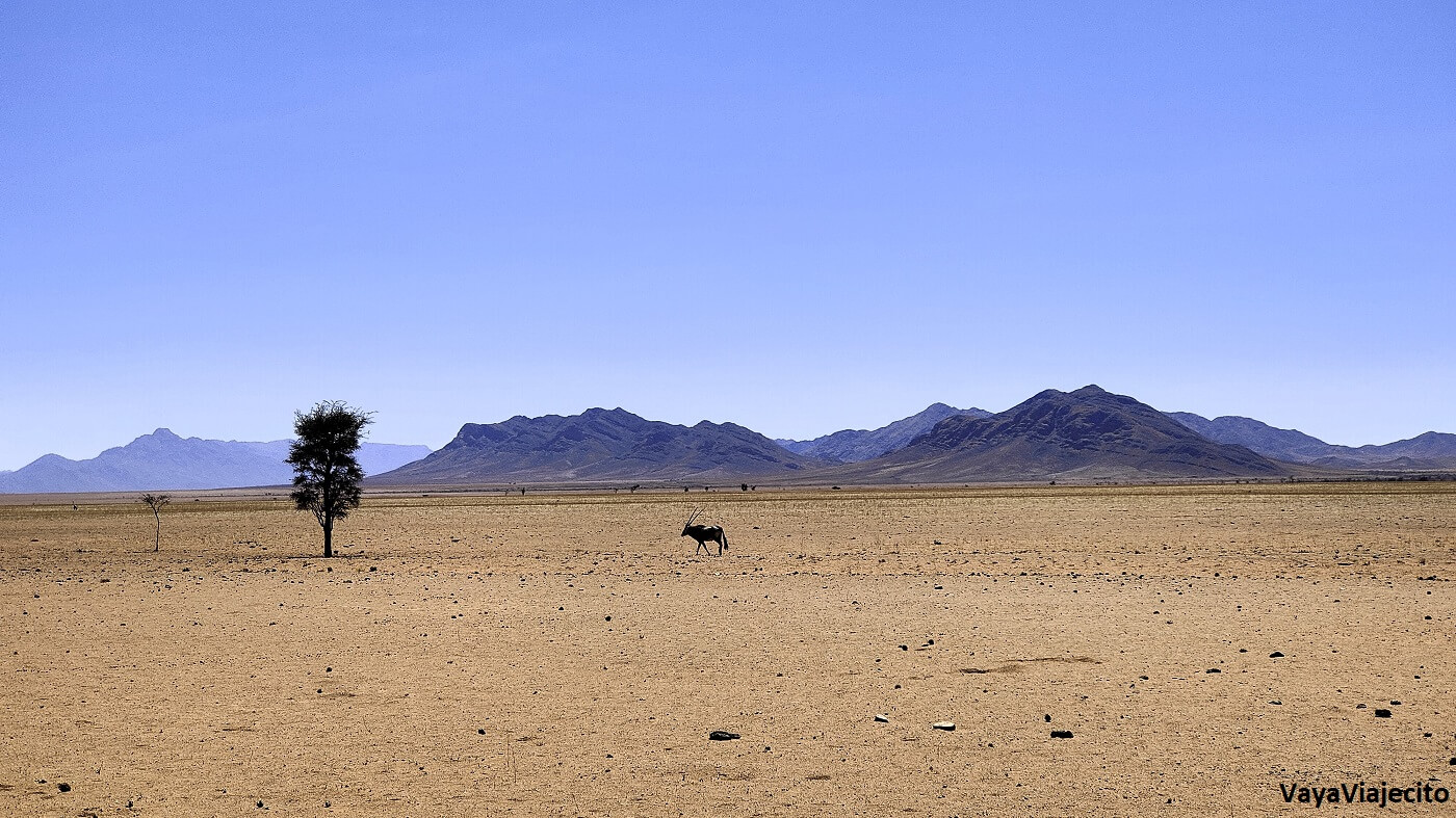 Guía completa para viajar a Namibia: qué ver y dónde ir 