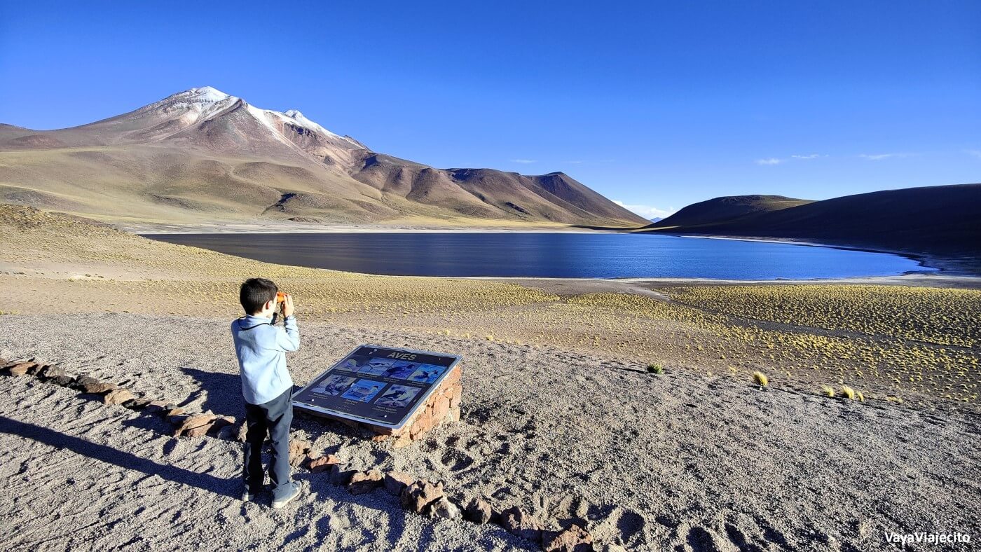 Desierto de Atacama: Guía completa para tu aventura