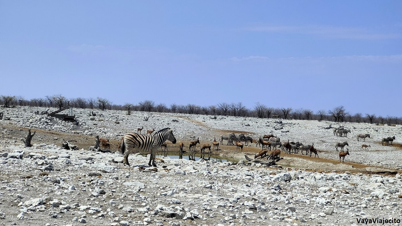 Imprescindibles de Namibia: Todo para tu Viaje (Itinerario y Mapa)
