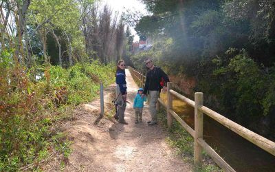 Senda Botánica de Calduch en Vila-real