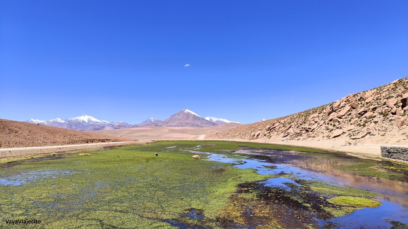 Que ver en Atacama