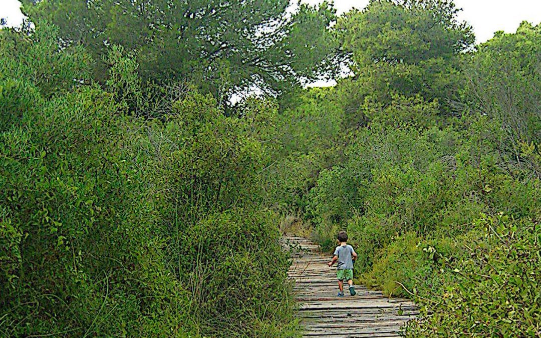 Ruta con niños por la Albufera de Valencia