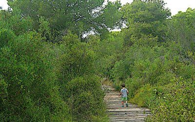 Ruta con niños por la Albufera de Valencia